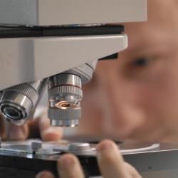 A man looking through a microscope