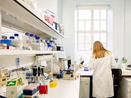 A University student working in a research laboratory at the Department of Pathology. Copyright: University of Cambridge (November 2024)